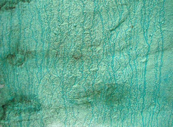 greengrungewall