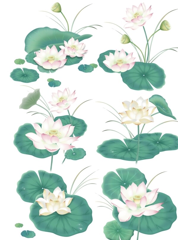 中國風(fēng)