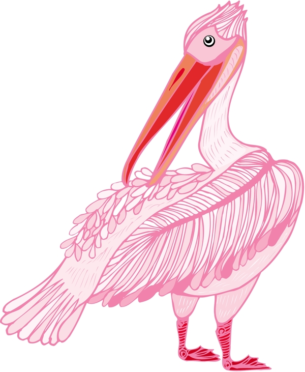 各種鳥類鳥動(dòng)物矢量素材EPS格式1268
