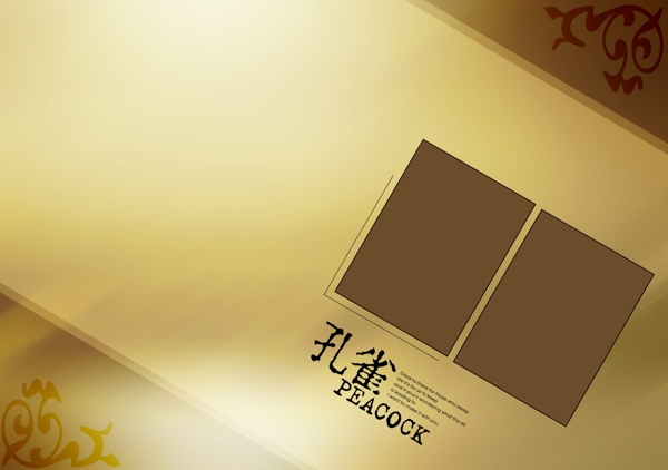 美圖美圖模板十一影樓魔法書DVD44