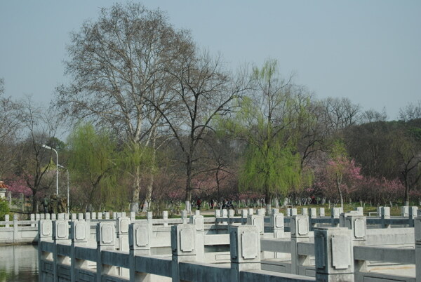公園一角圖片