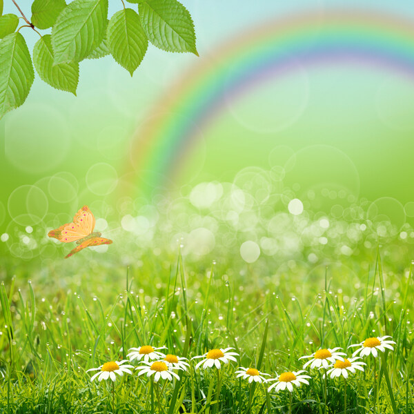 鲜花草地与彩虹图片