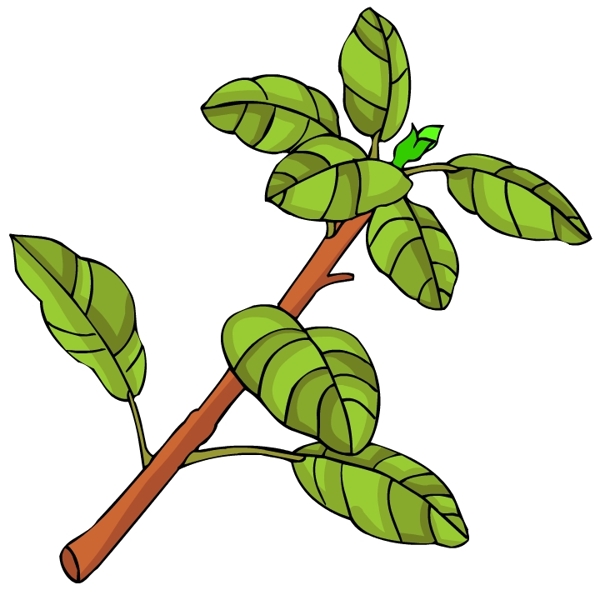 花卉古典插畫