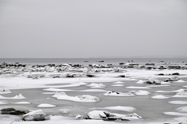 冬季海岸图片