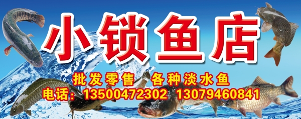 河魚圖片