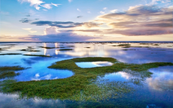 海邊風(fēng)景圖片