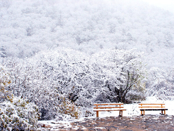 雪中的座椅