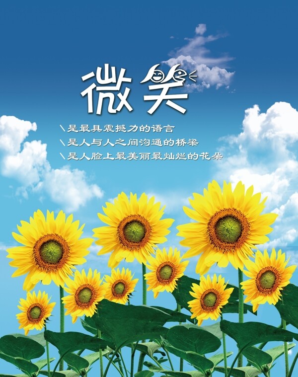 學校展板