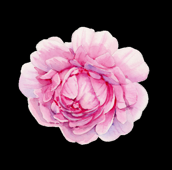 和平花蕊卡通透明素材