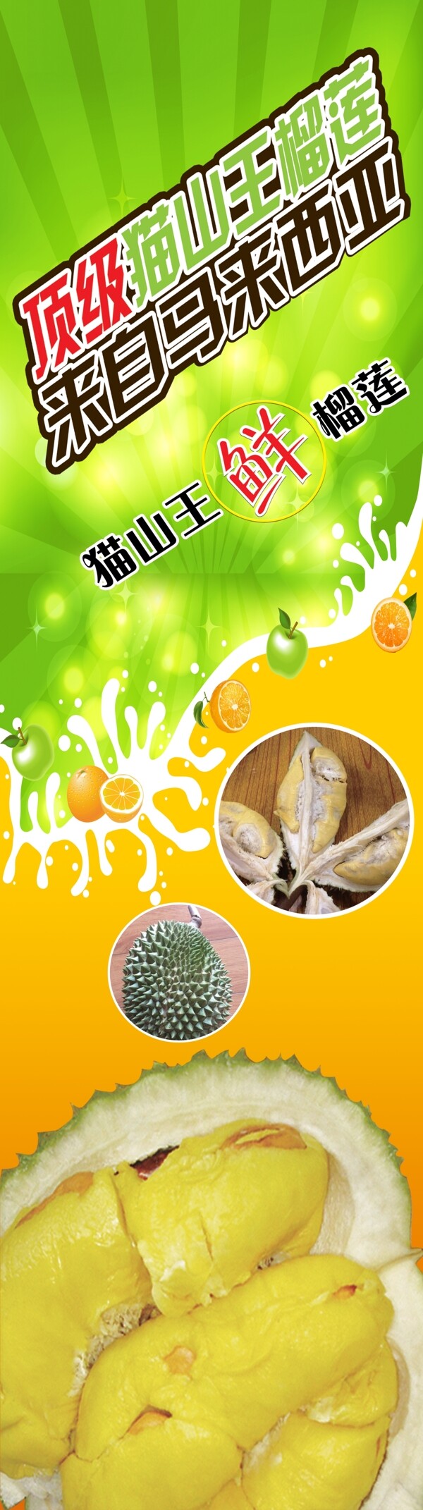 榴蓮圖片