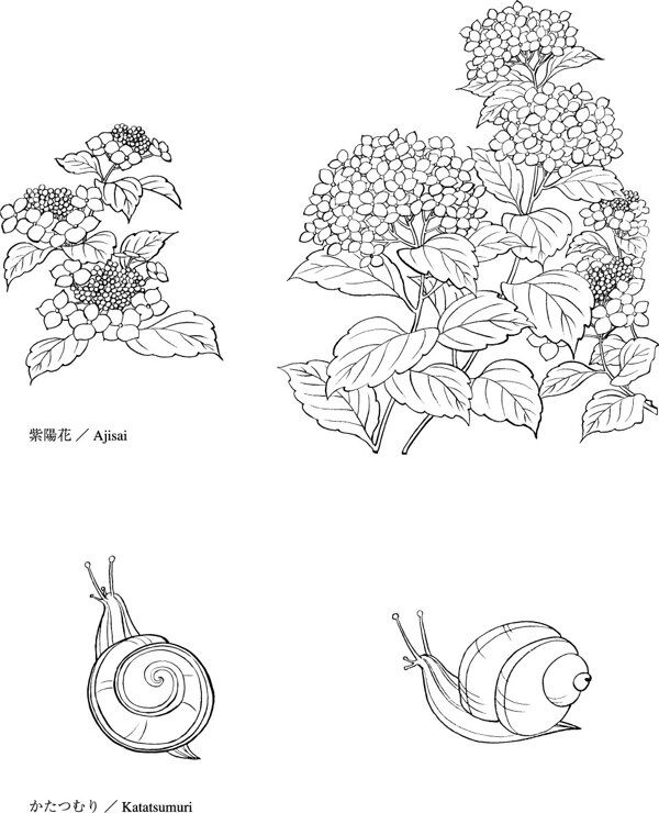 矢量花卉与蜗牛