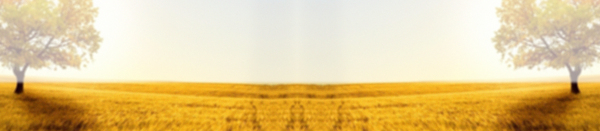 淘寶秋季鞋背景banner
