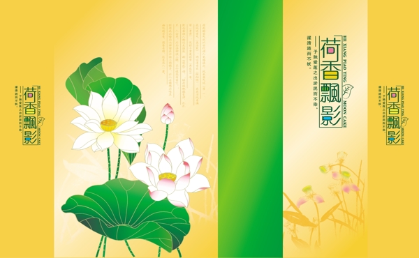 荷花圖片