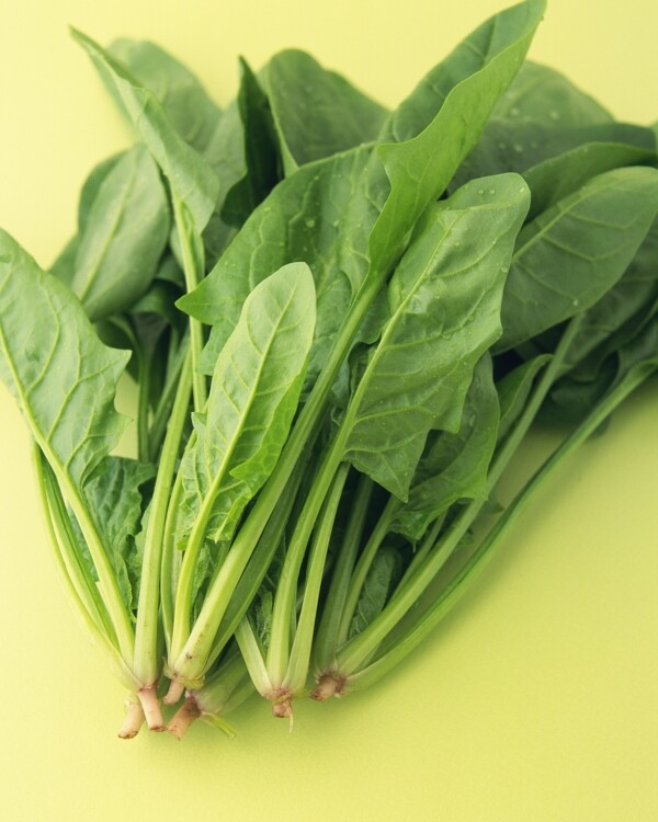 菠菜圖片