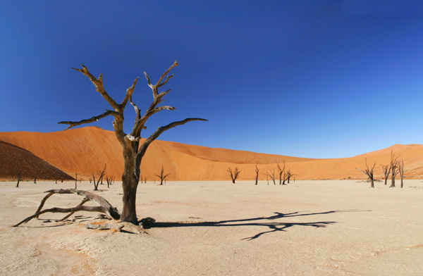 沙漠沙漠风光图片