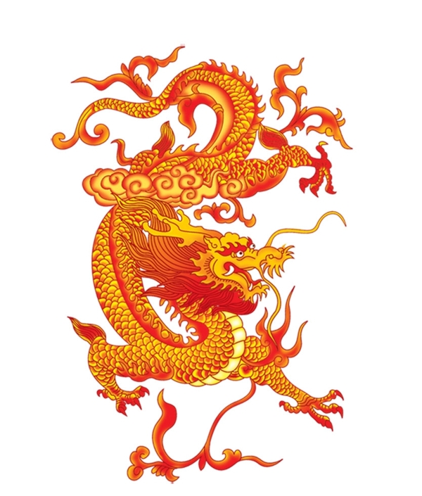 火龍圖片