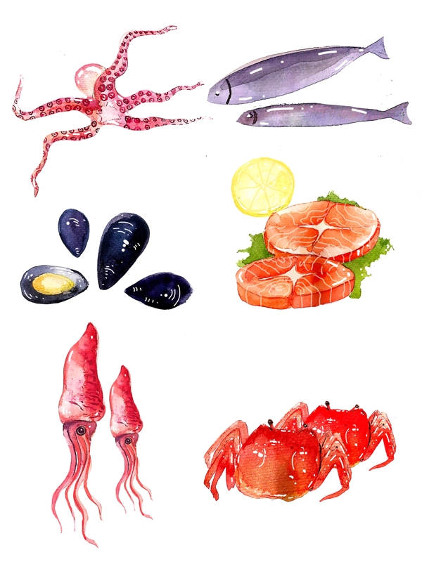 海鲜食材手绘海鲜食材水彩食材立冬海鲜食材