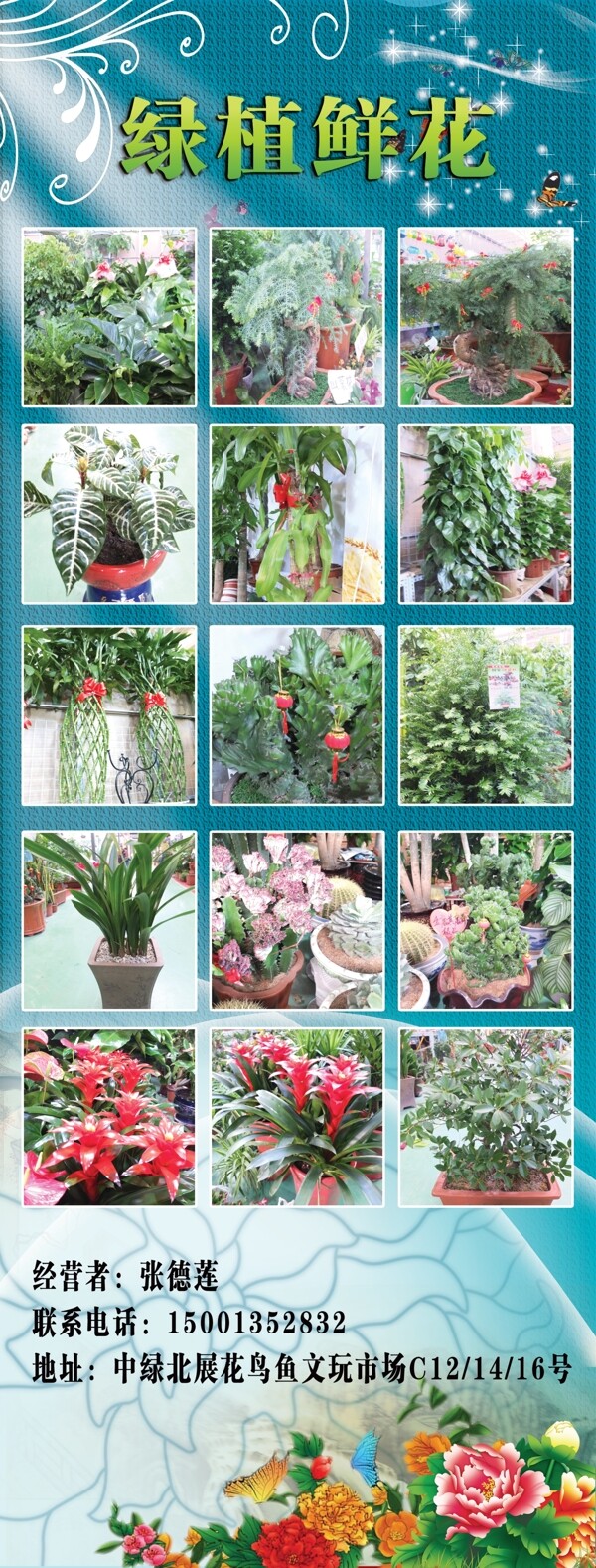 綠植鮮花展架圖片