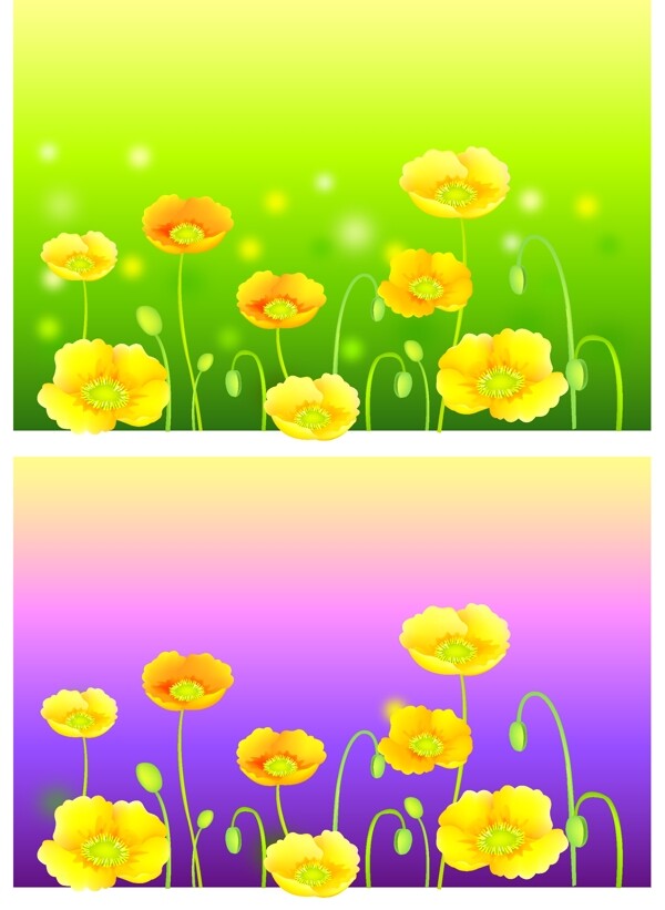 2008最新潮流花紋矢量圖130