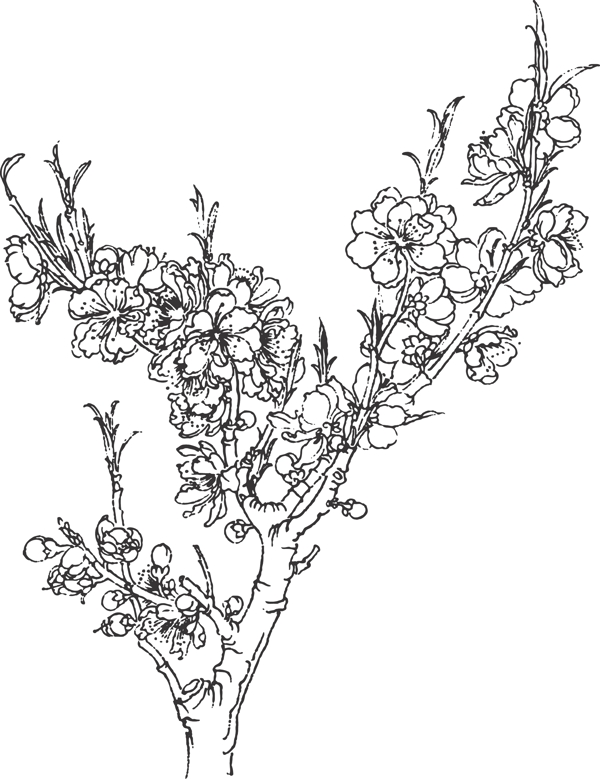 桃花