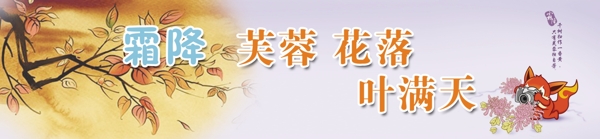 24節(jié)氣霜降