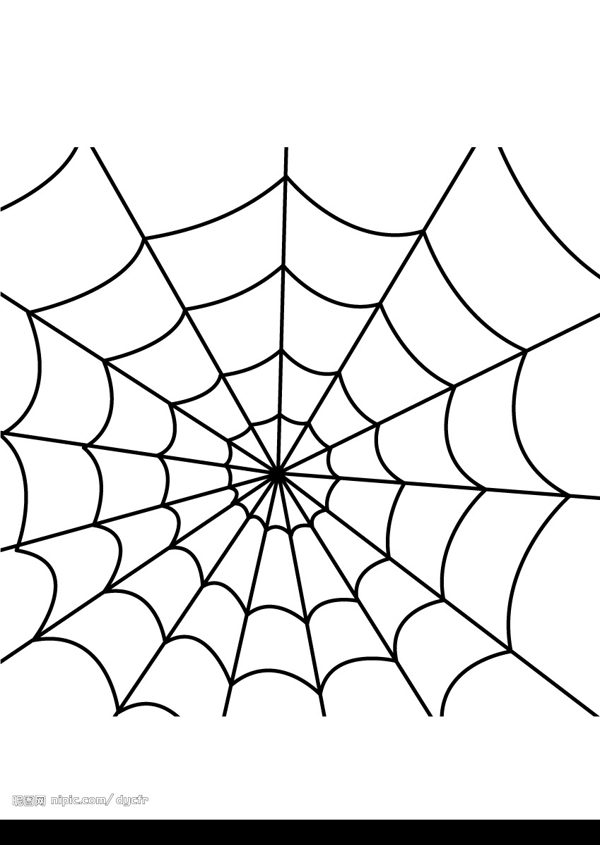 蜘蛛网背景图片