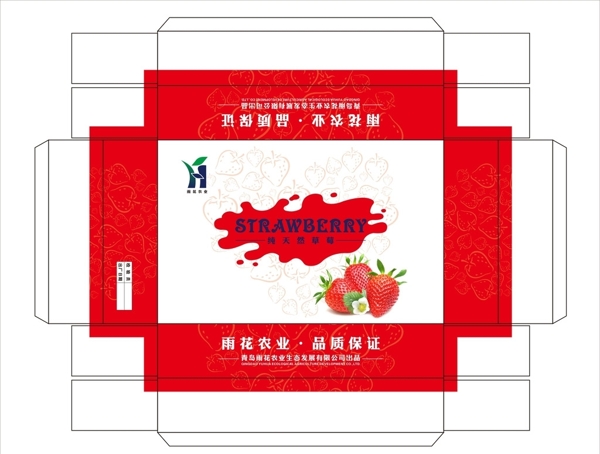 草莓包裝