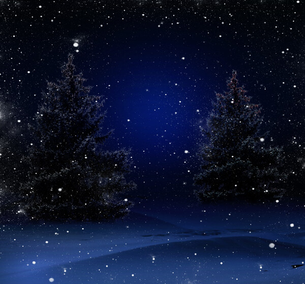夜晚的树木和雪花图片