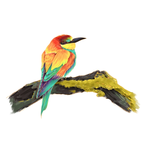 手绘国际爱鸟日之彩色小鸟元素