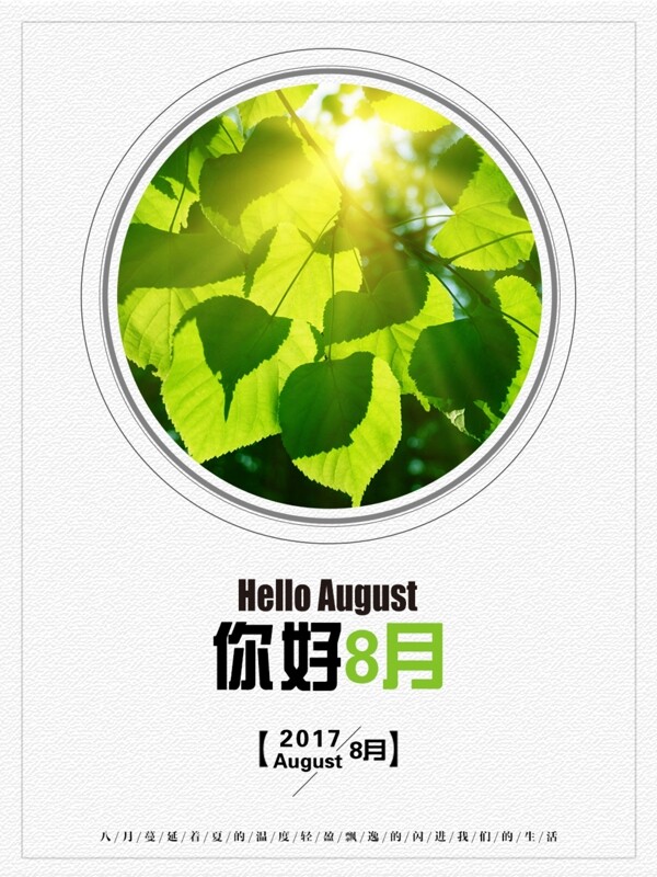 你好8月節(jié)日清新海報(bào)