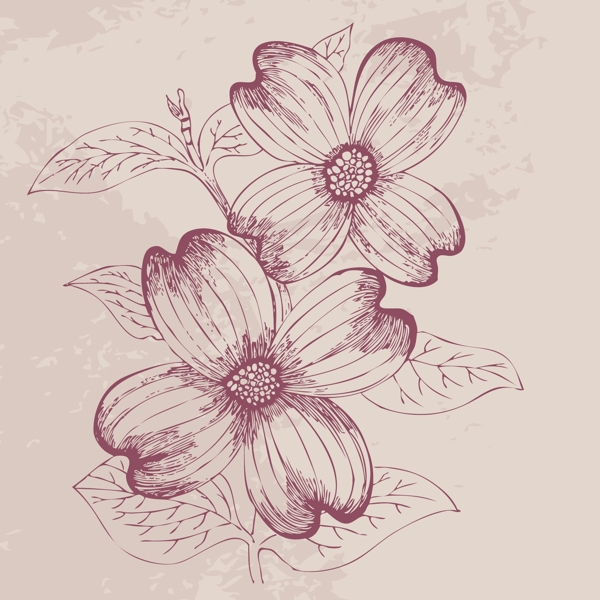歐美花紋2037矢量EPS