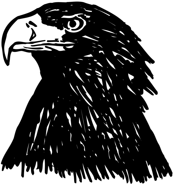 鳥類動物矢量素材eps格式0011