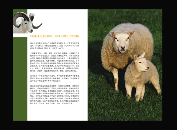 畜牧畫冊