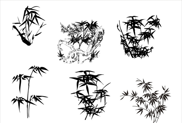 竹子圖片