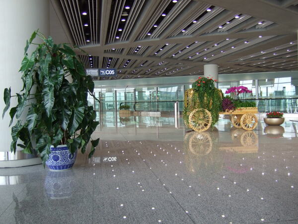 首都机场候机厅图片