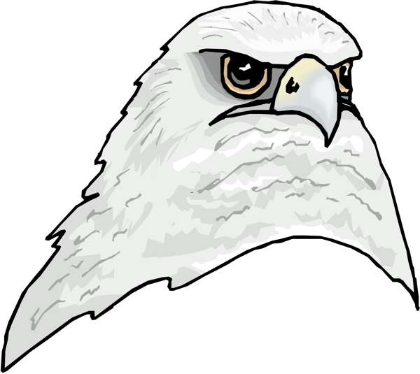 各種鳥類鳥動物矢量素材EPS格式0826