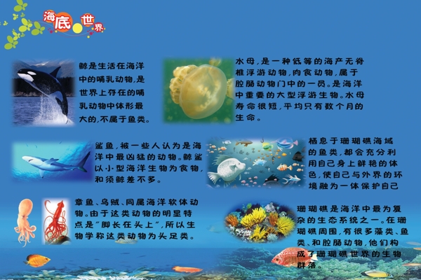 学校知识展板图片