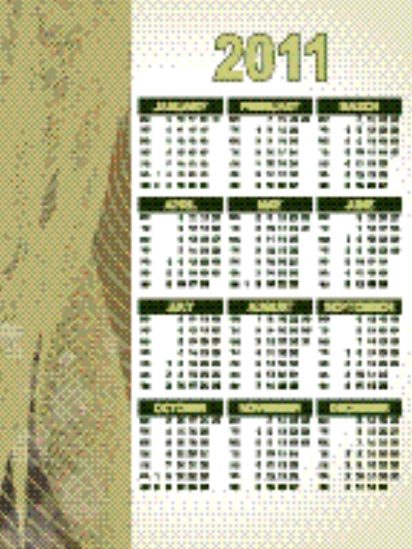 矢量日歷的新年2011