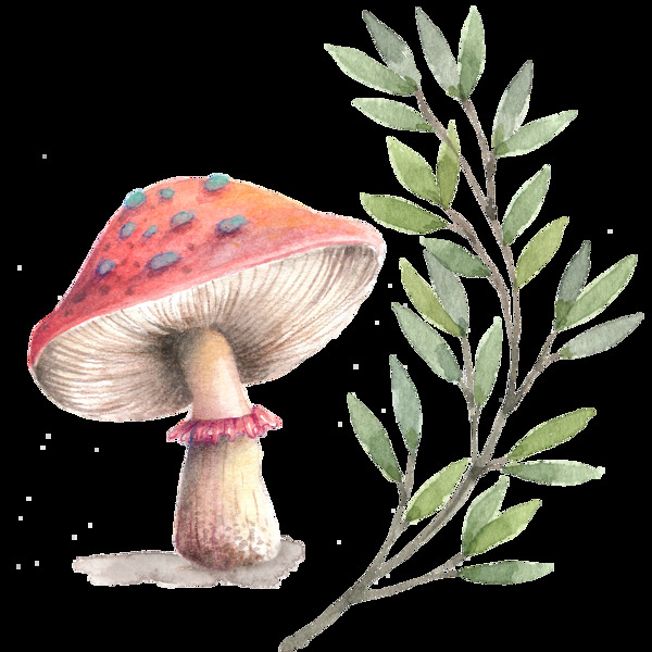 手绘蘑菇和绿叶素材