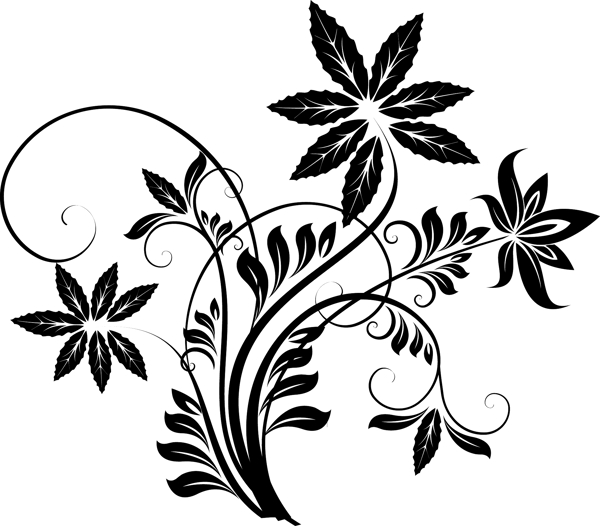 歐美花紋5169矢量EPS