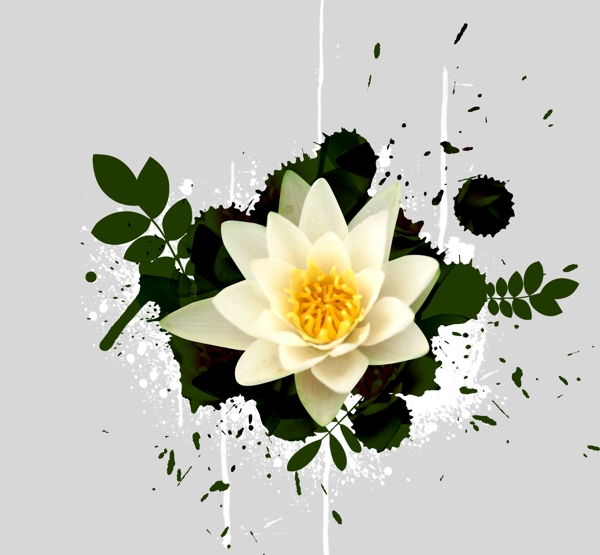 花朵古典素材圖片