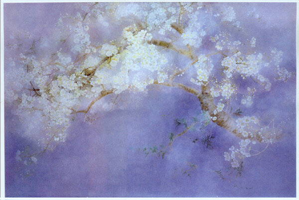 樱花银紫色图片