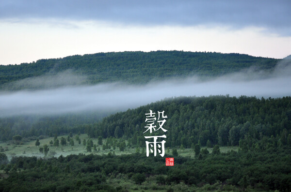 谷雨二十四节气森林雾气图片