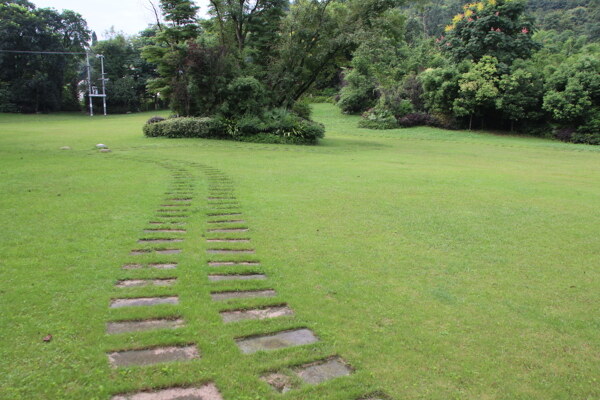 公園草坪路徑圖片