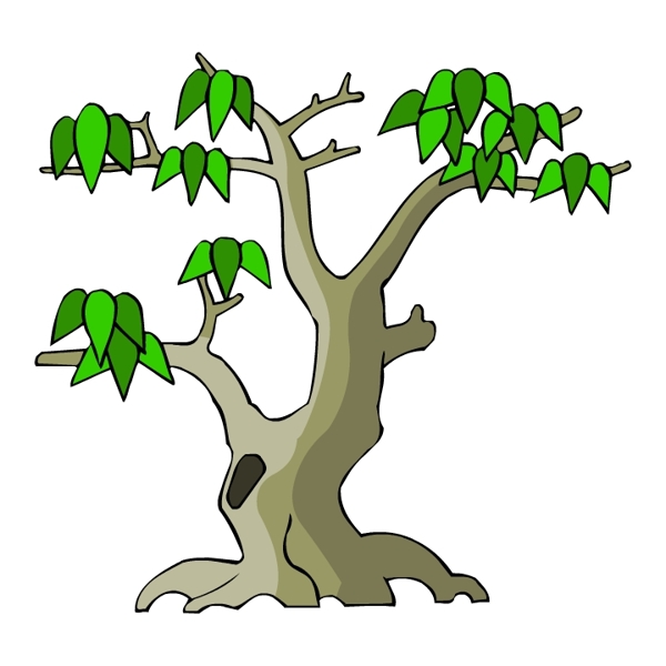 樹木古典插畫