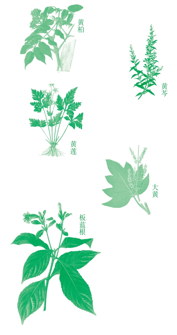 PSD药草素材