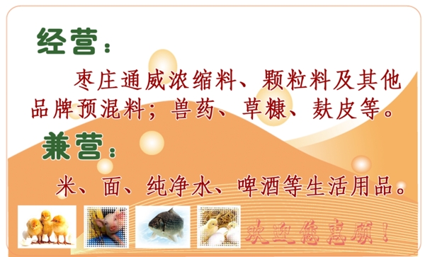 名片設(shè)計(jì)PSD