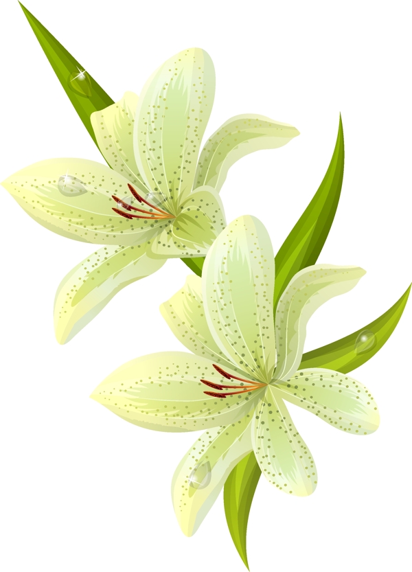 矢量裝飾花卉素材