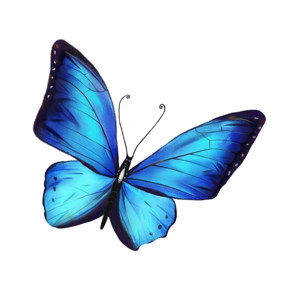 炫彩蓝色水彩蝴蝶