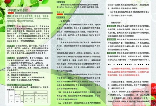 棗農業(yè)保險彩頁圖片